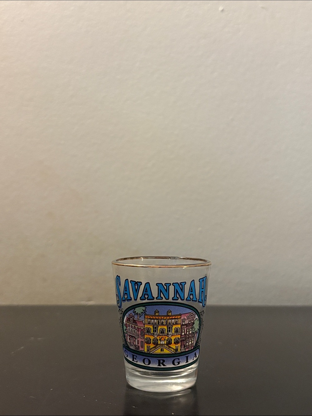 Savannah Georgia Souvenir Shot Glass with Blue Lettering